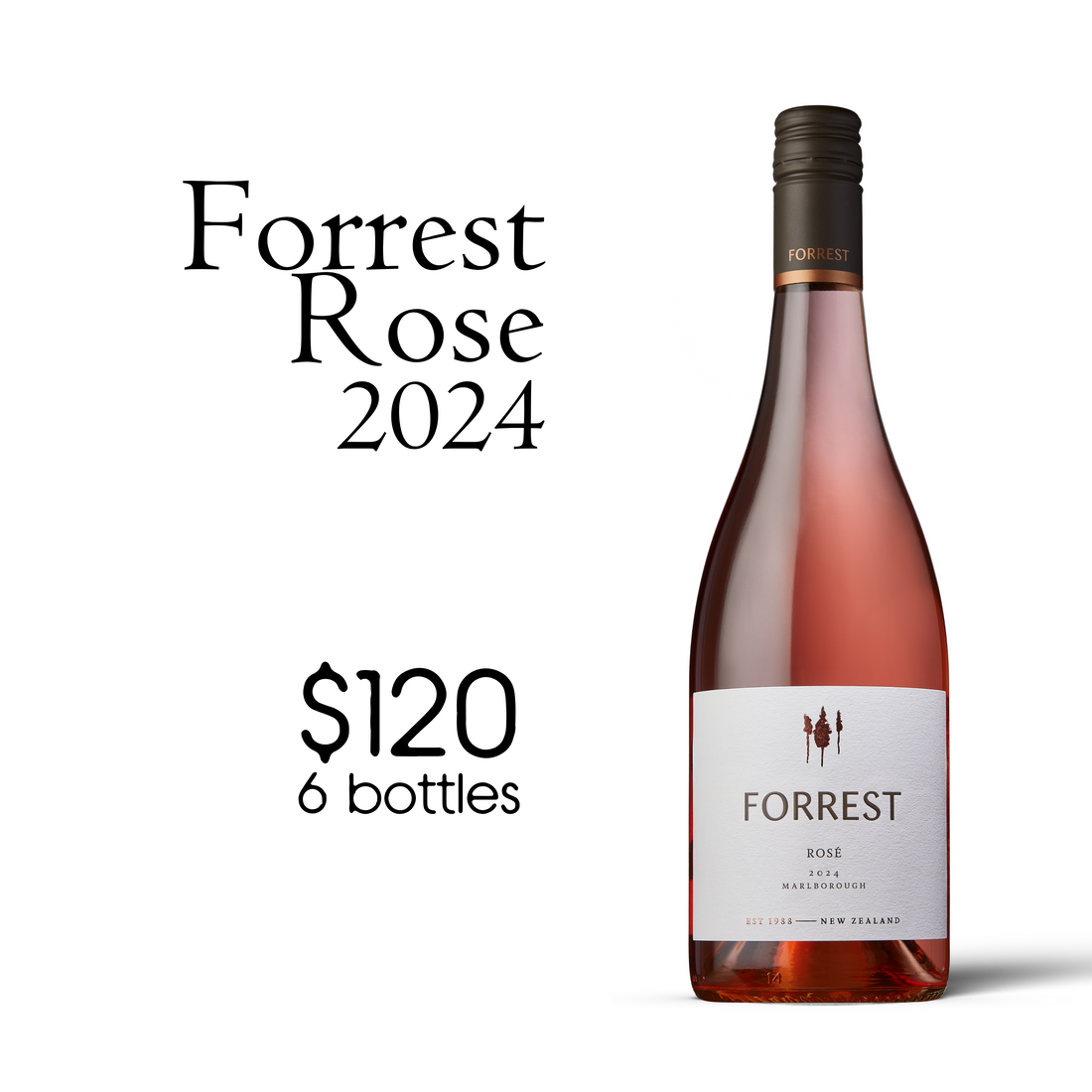 2024 Forrest Rose - 6 Bottles